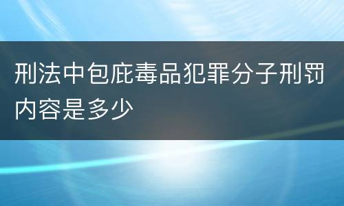 刑法中包庇毒品犯罪分子刑罚内容是多少