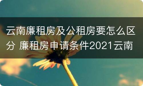 云南廉租房及公租房要怎么区分 廉租房申请条件2021云南