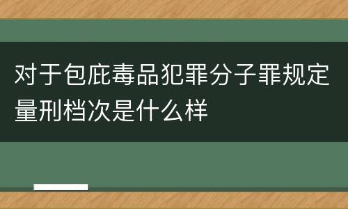 对于包庇毒品犯罪分子罪规定量刑档次是什么样