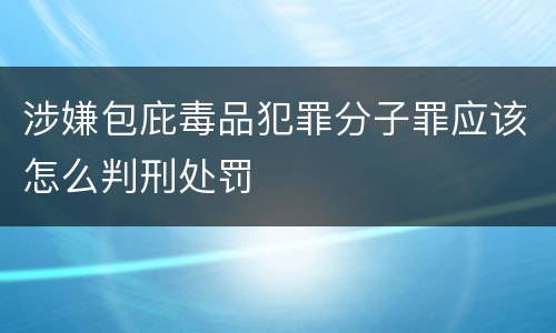 涉嫌包庇毒品犯罪分子罪应该怎么判刑处罚