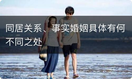 同居关系、事实婚姻具体有何不同之处