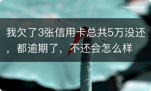 我欠了3张信用卡总共5万没还，都逾期了，不还会怎么样