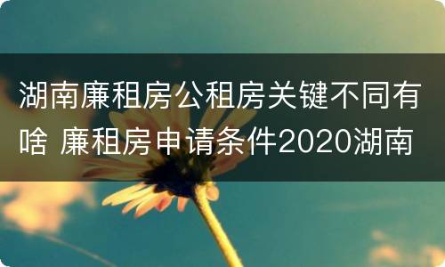 湖南廉租房公租房关键不同有啥 廉租房申请条件2020湖南