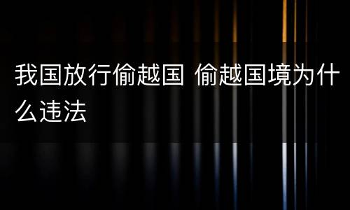 我国放行偷越国 偷越国境为什么违法