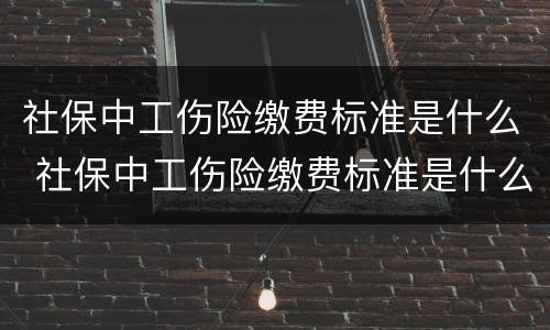 社保中工伤险缴费标准是什么 社保中工伤险缴费标准是什么