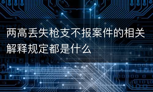 两高丢失枪支不报案件的相关解释规定都是什么