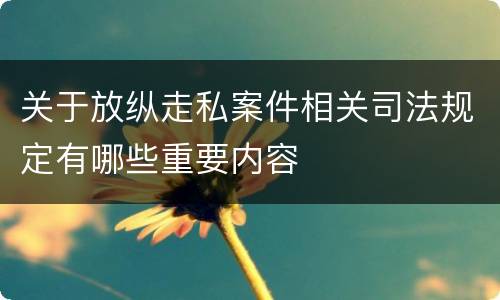 关于放纵走私案件相关司法规定有哪些重要内容