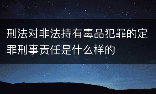 刑法对非法持有毒品犯罪的定罪刑事责任是什么样的