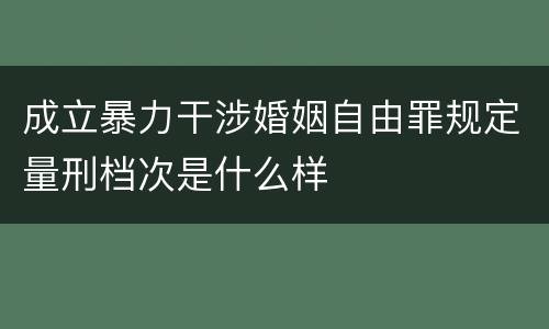 成立暴力干涉婚姻自由罪规定量刑档次是什么样