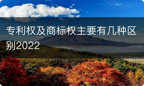 专利权及商标权主要有几种区别2022