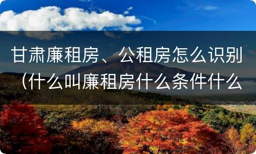 甘肃廉租房、公租房怎么识别（什么叫廉租房什么条件什么叫公租房）