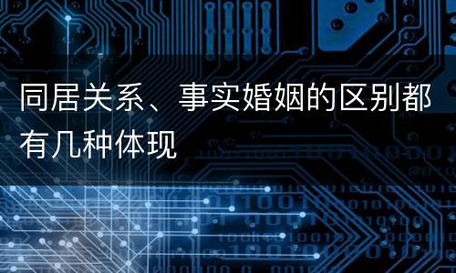 同居关系、事实婚姻的区别都有几种体现