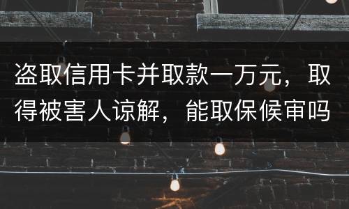 盗取信用卡并取款一万元，取得被害人谅解，能取保候审吗