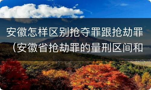 安徽怎样区别抢夺罪跟抢劫罪（安徽省抢劫罪的量刑区间和量刑情节）