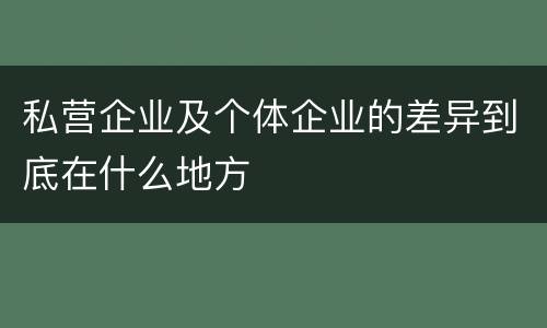 私营企业及个体企业的差异到底在什么地方