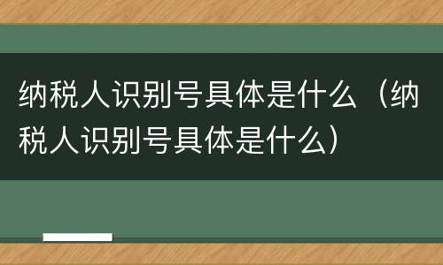 纳税人识别号具体是什么（纳税人识别号具体是什么）