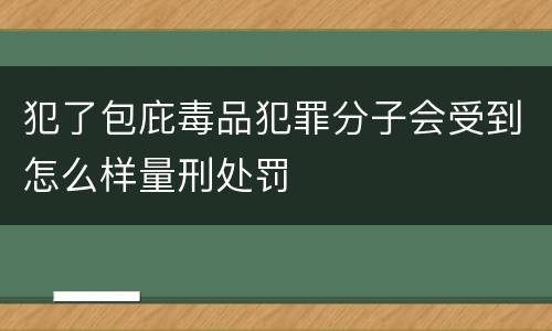 犯了包庇毒品犯罪分子会受到怎么样量刑处罚