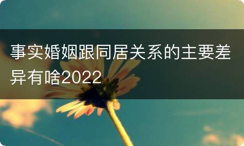 事实婚姻跟同居关系的主要差异有啥2022