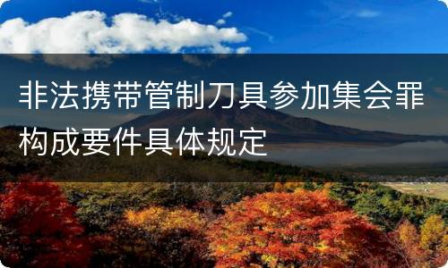 非法携带管制刀具参加集会罪构成要件具体规定