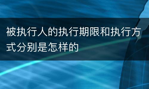 被执行人的执行期限和执行方式分别是怎样的