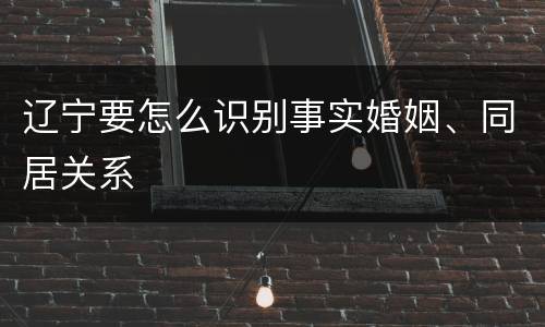 辽宁要怎么识别事实婚姻、同居关系