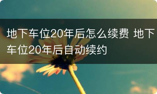 地下车位20年后怎么续费 地下车位20年后自动续约