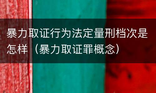 暴力取证行为法定量刑档次是怎样（暴力取证罪概念）