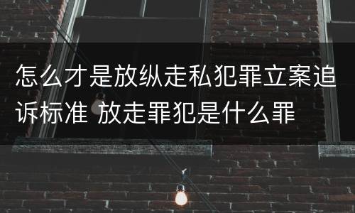 怎么才是放纵走私犯罪立案追诉标准 放走罪犯是什么罪