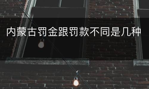 内蒙古罚金跟罚款不同是几种