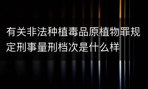 有关非法种植毒品原植物罪规定刑事量刑档次是什么样