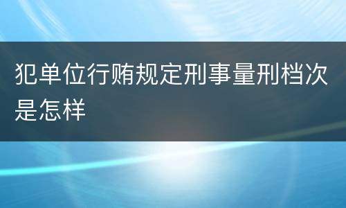 犯单位行贿规定刑事量刑档次是怎样