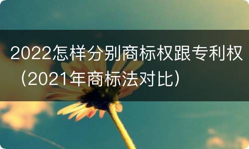 2022怎样分别商标权跟专利权（2021年商标法对比）