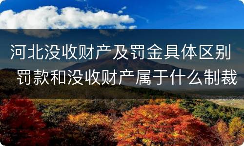 河北没收财产及罚金具体区别 罚款和没收财产属于什么制裁