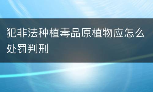 犯非法种植毒品原植物应怎么处罚判刑