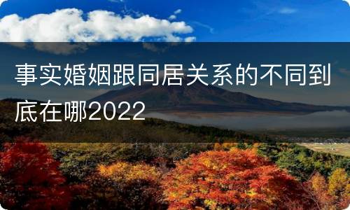 事实婚姻跟同居关系的不同到底在哪2022