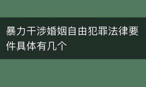 暴力干涉婚姻自由犯罪法律要件具体有几个