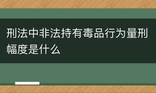 刑法中非法持有毒品行为量刑幅度是什么