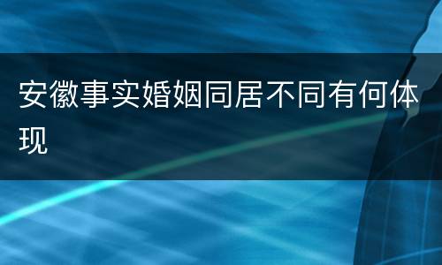 安徽事实婚姻同居不同有何体现