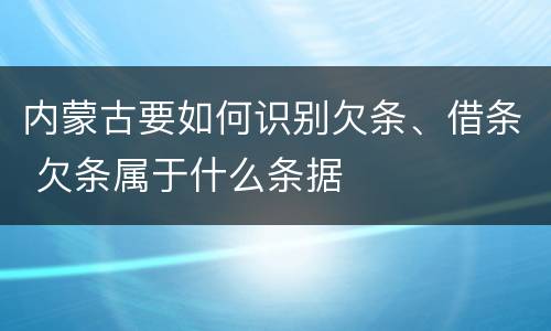 内蒙古要如何识别欠条、借条 欠条属于什么条据