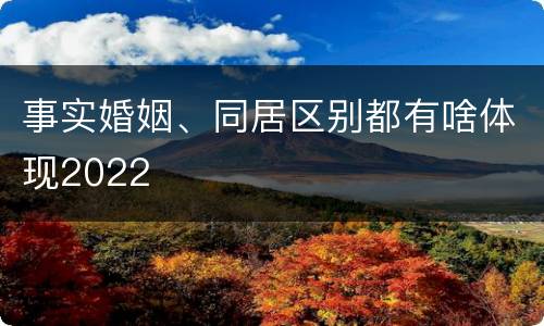 事实婚姻、同居区别都有啥体现2022