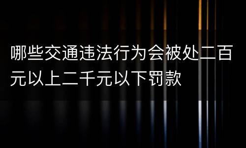 哪些交通违法行为会被处二百元以上二千元以下罚款