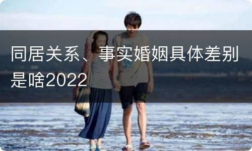 同居关系、事实婚姻具体差别是啥2022