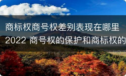 商标权商号权差别表现在哪里2022 商号权的保护和商标权的保护一样是全国性范围的