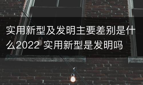 实用新型及发明主要差别是什么2022 实用新型是发明吗