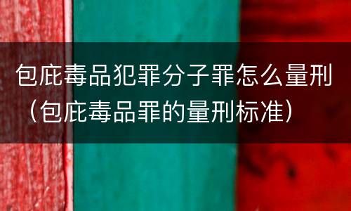 包庇毒品犯罪分子罪怎么量刑（包庇毒品罪的量刑标准）