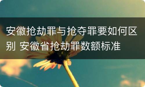 安徽抢劫罪与抢夺罪要如何区别 安徽省抢劫罪数额标准