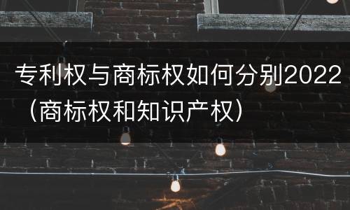 专利权与商标权如何分别2022（商标权和知识产权）