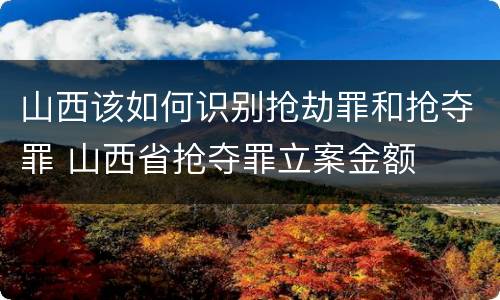 山西该如何识别抢劫罪和抢夺罪 山西省抢夺罪立案金额