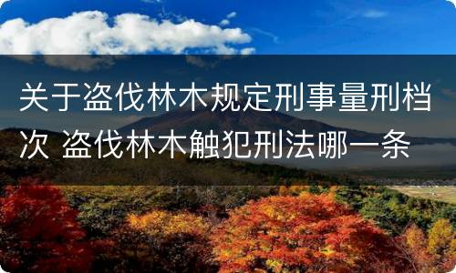 关于盗伐林木规定刑事量刑档次 盗伐林木触犯刑法哪一条