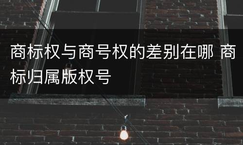 商标权与商号权的差别在哪 商标归属版权号